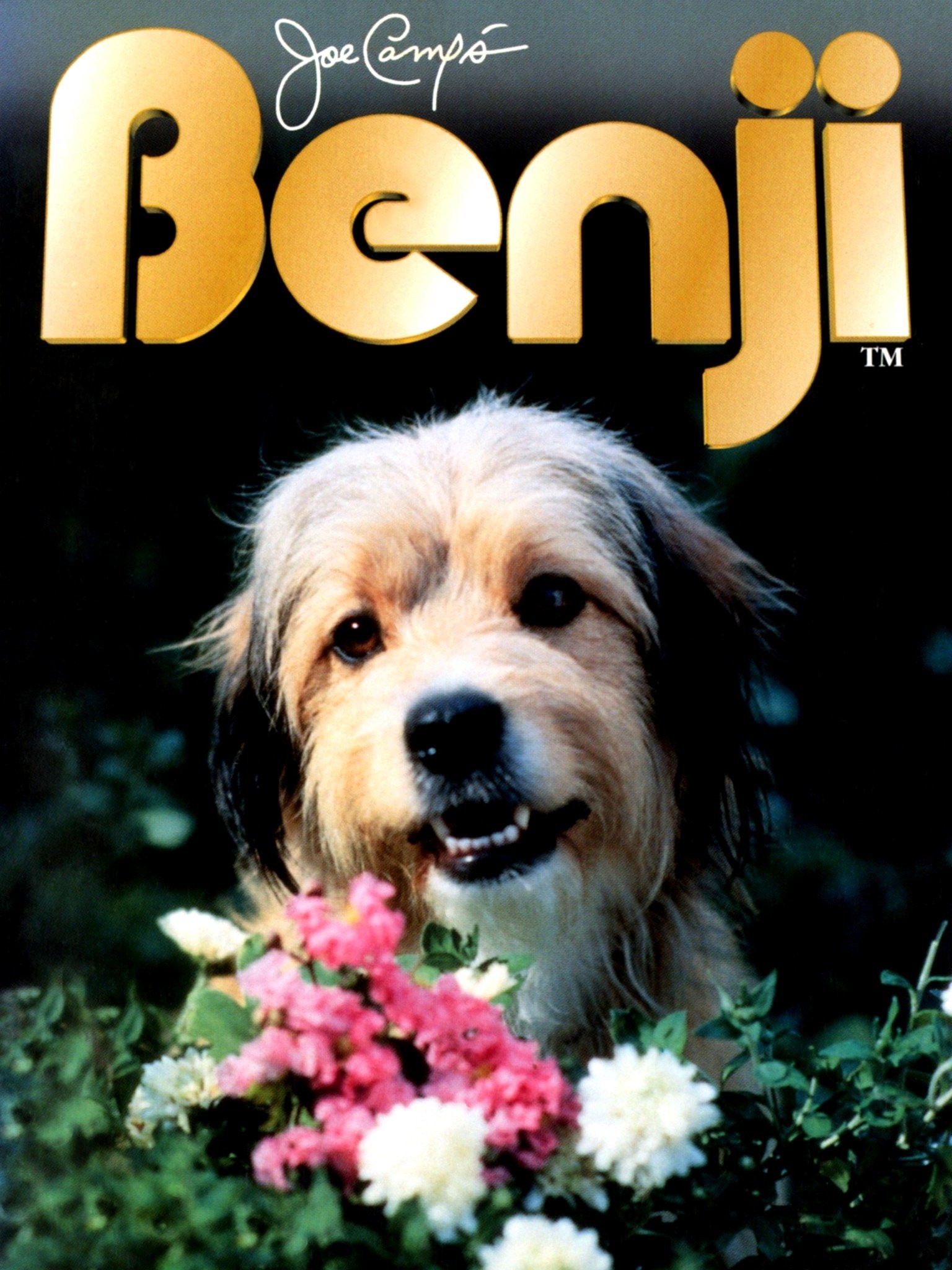 Buy Benji (1974) - Microsoft Store en-IE